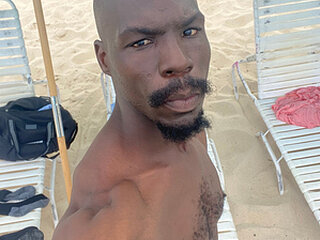 chocolate265
